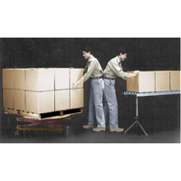 Spring-Operated Pallet Lifters - Pallet Pal&reg;, 43-5/8" L x 43-5/8" W, 4500 lbs. Cap. Moffatt Supply & Specialties