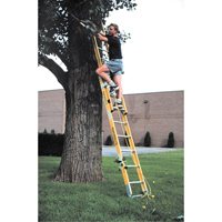 Industrial Heavy-Duty Extension Ladders (6200 Series), 375 lbs. Cap., 13' H, Grade 1AA Moffatt Supply & Specialties