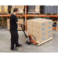 Heavy-Duty Manual Pallet Truck, Steel, 48" L x 27" W, 5500 lbs. Capacity Moffatt Supply & Specialties