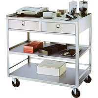 Stainless Steel Equipment Stands, 300 lbs. Capacity, Stainless Steel, 20"/20-1/8" x W, 35" x H, 37"/36-3/8" D, Knocked Down, 2 Drawers Moffatt Supply & Specialties