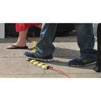 Syst&egrave;me de protection de c&acirc;bles Ultra-Sidewinder - petit , 13,125" x 3" x 0,75", 32000 lb (16 tonnes) Moffatt Supply & Specialties