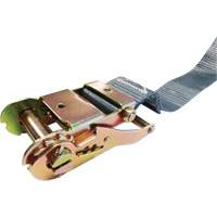 Ratchet Strap, E-Track System, 2" W x 16' L, 1333 lbs. (605 kg) Working Load Limit Moffatt Supply & Specialties