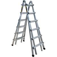 Telescoping Multi-Position Ladder, Aluminum, 300 lbs. Moffatt Supply & Specialties