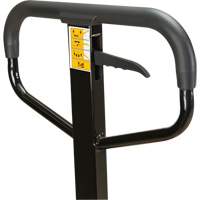 Manual Pallet Truck, Steel, 48" L x 27" W, 5500 lbs. Capacity Moffatt Supply & Specialties