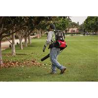 M18 FUEL Dual Battery Backpack Blower Kit, 18 V, 155 MPH Output, Battery Powered Moffatt Supply & Specialties