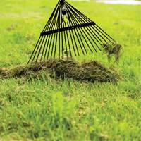 Lawn Rake, 24 Tines, Hardwood Handle, Steel Blade Moffatt Supply & Specialties