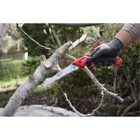 7” Folding Pruning Saw with ?Straight Blade Moffatt Supply & Specialties