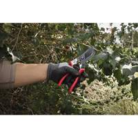 1” Angled Pruning Shears Moffatt Supply & Specialties