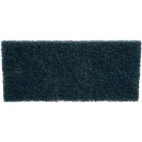 Scrubber Pad, 10" L x 4-5/8" W Moffatt Supply & Specialties