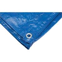 Tarp, Standard Duty, Blue, 7' x 5' x 4 mils Moffatt Supply & Specialties