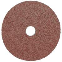 Resin Fibre Sanding Disc, Aluminum Oxide, A16, 5" Dia x 7/8" Arbor Moffatt Supply & Specialties