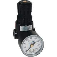 R&eacute;gulateur miniature R04 Wilkerson, 1/4" NPT, PSI max. de 300 psi, Standard Moffatt Supply & Specialties