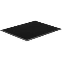 Gritstop Fingermat Matting, Rubber, Scraper Type, Textured Pattern, 2' x 2-2/3', Black Moffatt Supply & Specialties