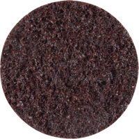Standard Abrasives Surface Conditioning Discs, 2" Dia., Coarse Grit Moffatt Supply & Specialties