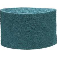 Scotch-Brite Surface Conditioning Belt Moffatt Supply & Specialties