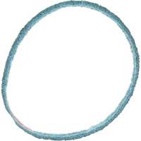 Scotch-Brite Surface Conditioning Belt Moffatt Supply & Specialties