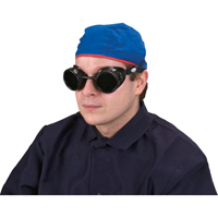 Lunettes &agrave; coque, Lentille 5,0, Anti-&eacute;gratignures, Ventilation Ferm&eacute; Moffatt Supply & Specialties