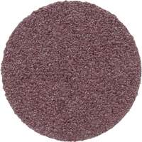 PSA Cloth Disc 348D, 20" Dia., 60 Grit, Aluminum Oxide Moffatt Supply & Specialties