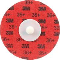 Cubitron II Roloc Durable Edge Disc, 3" Dia., 36+ Grit, Ceramic Moffatt Supply & Specialties