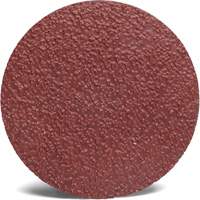 3M 782C Roloc Sanding Disc, 2" Dia., 36+ Grit, Ceramic Moffatt Supply & Specialties