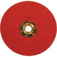 Lock Back Sanding Discs