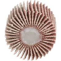 Flap Disc 747D, Aluminum Oxide/Ceramic, 80 Grit, 1" x 1" x 1/4" Moffatt Supply & Specialties