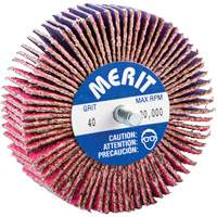 Threaded Mini Flap Wheel, Ceramic Alumina, 40 Grit, 3" x 1" x 1/4"-20 Moffatt Supply & Specialties