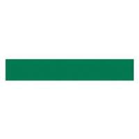 Write-On Magnetic Label, Magnetic, 600" L x 1" W Moffatt Supply & Specialties