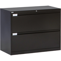 Lateral Filing Cabinet, Steel, 2 Drawers, 36" W x 18" D x 27-7/8" H, Black Moffatt Supply & Specialties