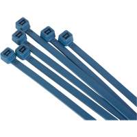 Attache-c&acirc;bles d&eacute;tectables par d&eacute;tecteur de m&eacute;taux, 6" lo, R&eacute;sistance &agrave; la traction 120 lb Moffatt Supply & Specialties