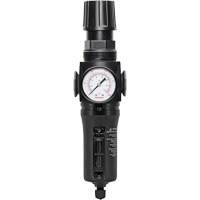 Filtre/r&eacute;gulateur drain manuel avec bol en m&eacute;tal Modulair 300, 1/4" NPT, 250 PSI, Capacit&eacute; de 5,1 oz liq. Moffatt Supply & Specialties