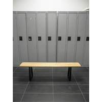 Banc pour vestiaire, Bois, 48" lo x 9-1/4" la x 16-1/2" h Moffatt Supply & Specialties