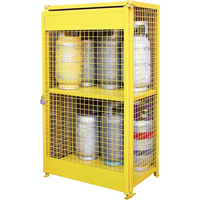 Gas Cylinder Cabinets, 12 Cylinder Capacity, 44" W x 30" D x 74" H, Yellow Moffatt Supply & Specialties