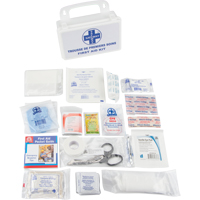 First Aid Kit, Class 1 Medical Device, Plastic B Moffatt Supply & Specialties