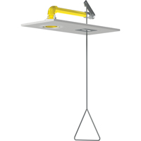 Douches d'urgence &agrave; alimentation horizontale, Montage au plafond Moffatt Supply & Specialties