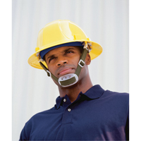 ERB Chinstrap for ERB Hardhat Moffatt Supply & Specialties