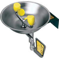 Eye/Face Wash Station, Wall-Mount Installation, Stainless Steel Bowl Moffatt Supply & Specialties