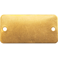 Blank Tags, Brass, 2" W x 1" H Moffatt Supply & Specialties