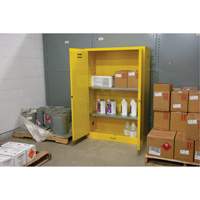 Armoire pour produits inflammables, 45 gal., 2 Porte(s), 43" La x 65" h x 18" p Moffatt Supply & Specialties