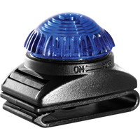 Guardian Warning Light, Continuous/Flashing, Blue Moffatt Supply & Specialties
