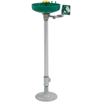 Axion&reg; Eye/Face Wash Station, Pedestal Installation, Plastic Bowl Moffatt Supply & Specialties