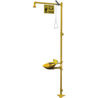 Combinaison de douche d'urgence & douche oculaire Halo Moffatt Supply & Specialties