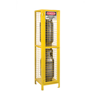 Gas Cylinder Cabinets, 2 Cylinder Capacity, 17" W x 17" D x 69" H, Yellow Moffatt Supply & Specialties