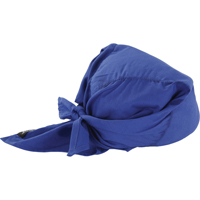 Foulards de refroidissement en triangle Chill-Its 6710CT, Bleu Moffatt Supply & Specialties