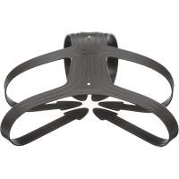 Head Harness Moffatt Supply & Specialties