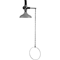 Lifesaver&reg; Emergency Overhead Showers, Ceiling-Mount Moffatt Supply & Specialties
