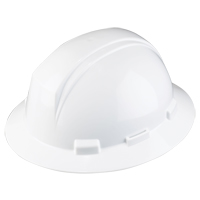 Dynamic Kilimanjaro Hardhat, Meets CSA Type 1, Pinlock Suspension, Non-Vented Moffatt Supply & Specialties