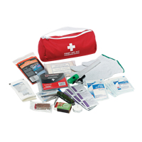 Dynamic Car First Aid Kit, Class 1 Medical Device, Nylon Bag Moffatt Supply & Specialties