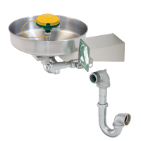 Axion&reg; Eye/Face Wash Station, Wall-Mount Installation, Stainless Steel Bowl Moffatt Supply & Specialties