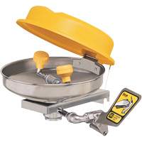 Eyewash Station, Wall-Mount Installation, Stainless Steel Bowl Moffatt Supply & Specialties